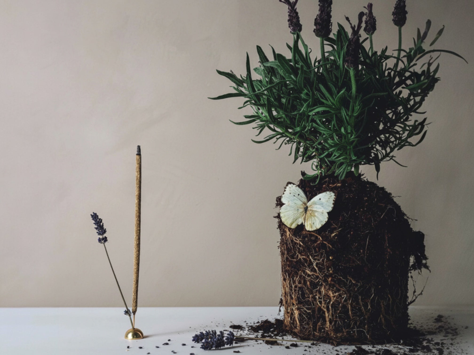 Awaken Aromatic Lavanta Çubuk Tütsü | Lavender Incense Stick